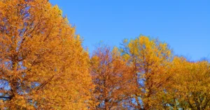 新しいスタッフ（作業療法士）が入りました